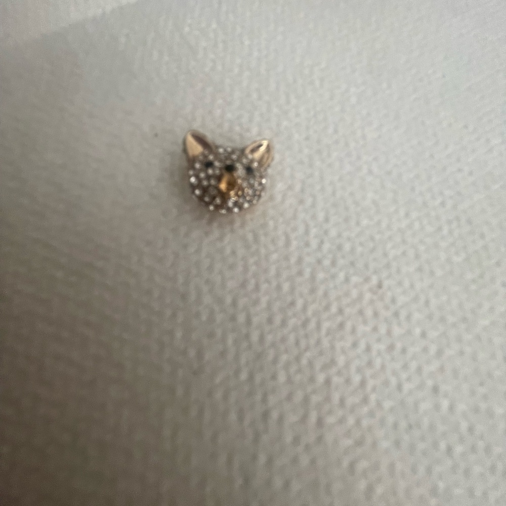 Gold and Silver rhinestone pet charm